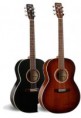 ART & LUTHERIE CEDAR CE